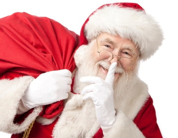 Santa and His Custom Hair Piece.bmp