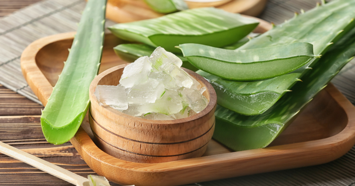 Aloe vera to calm your damaged scalp